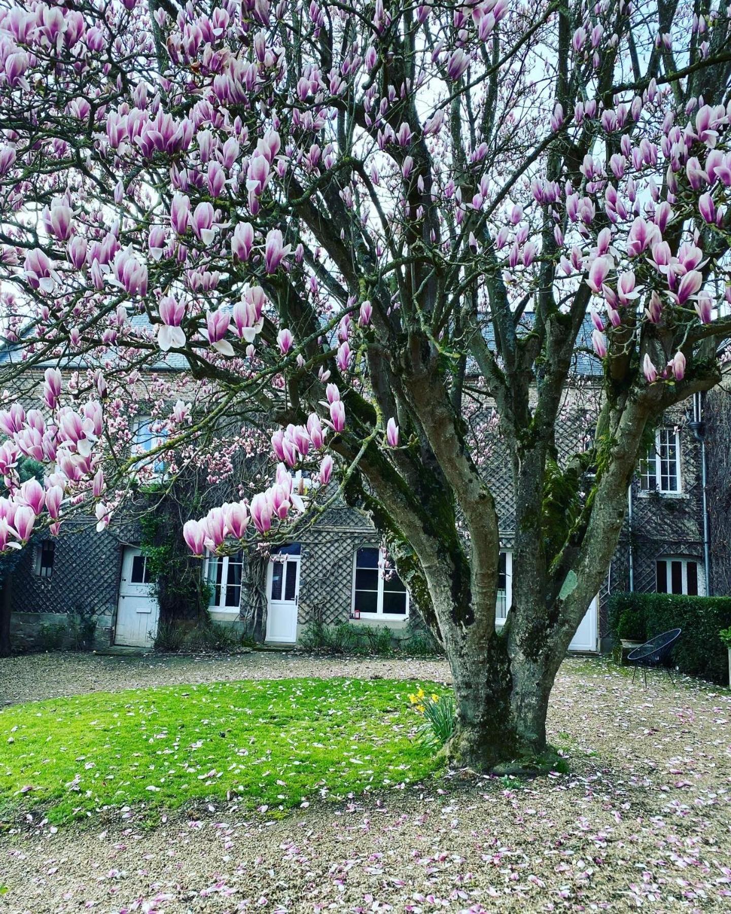 La Benjamine Bed & Breakfast Cany-Barville Exterior foto